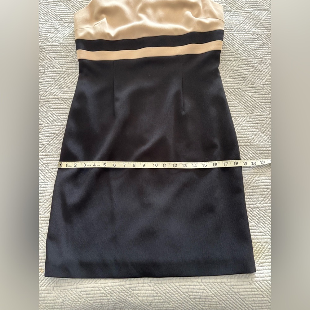 Ann Taylor Tan and Black Triacetate Sheath Dress - Picture 6 of 7